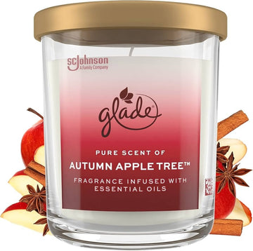 Glade Apple Cinnamon Scented Candle, 15.9 oz (454 g)